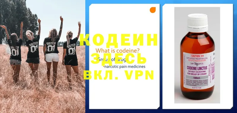 Codein Purple Drank  купить   гидра ссылки  shop как зайти  Ступино 